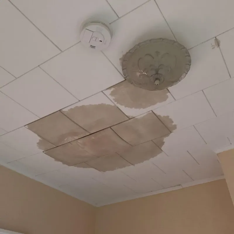 Ceiling Water Damage Repair in Mechanicsburg, OH
