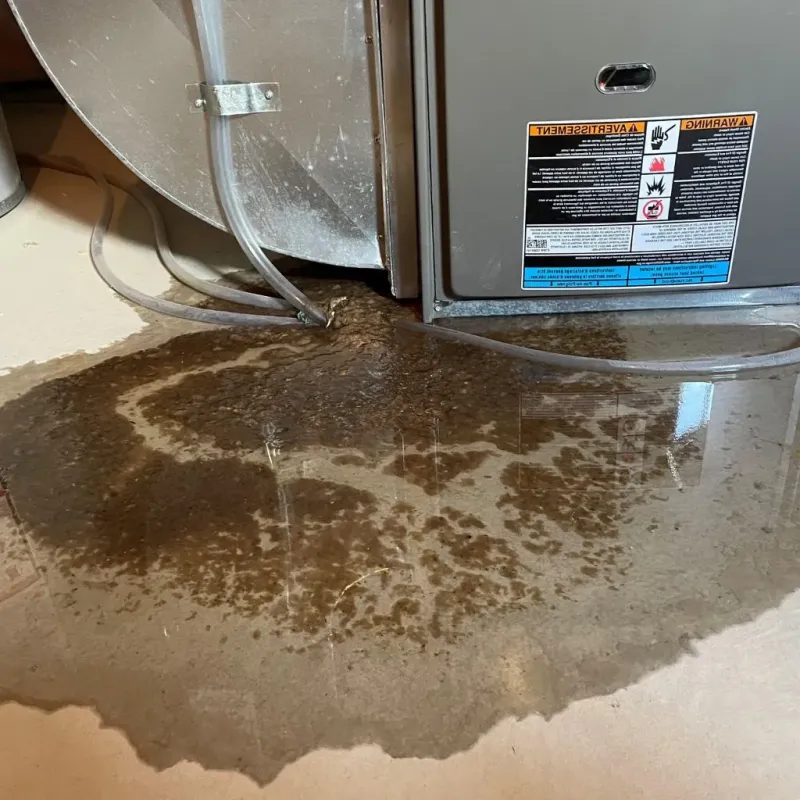 Pipe Burst and Leak Restoration in Mechanicsburg, OH