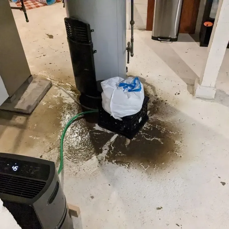 Sewage Backup Cleanup Service in Mechanicsburg, OH